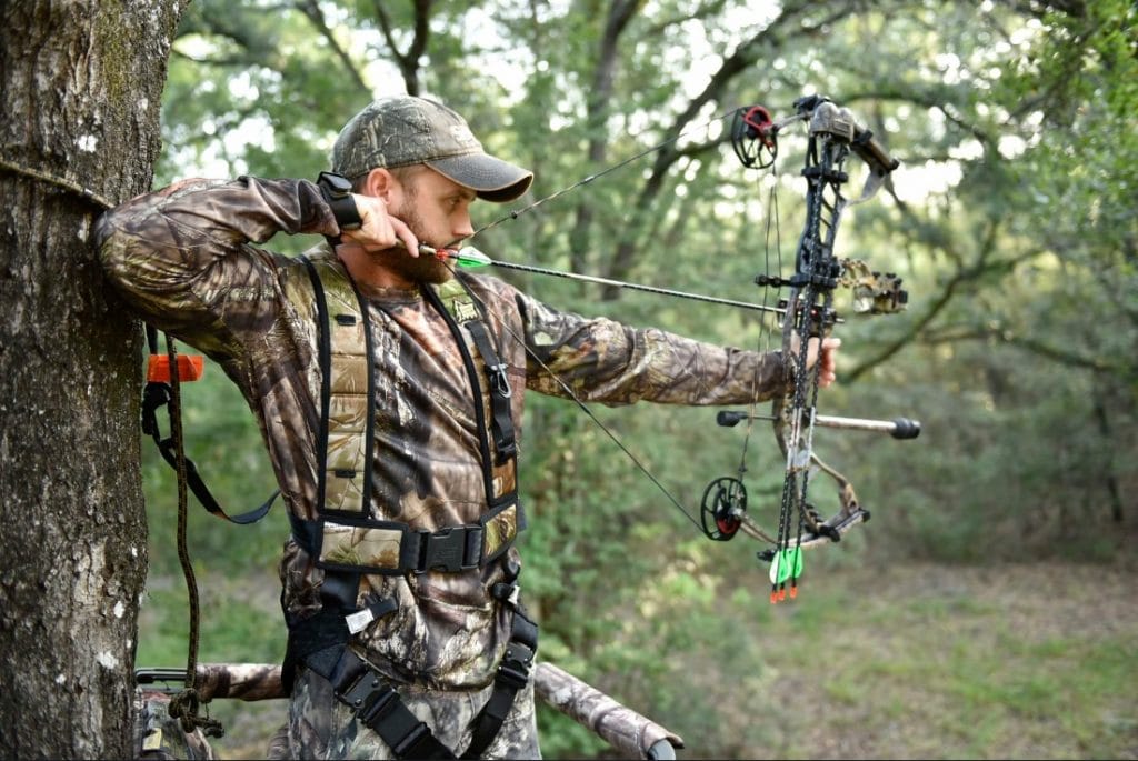 Where To Hunt This Summer 7 States That Allow Summer Bow Hunting