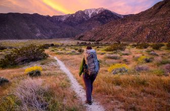 amazing us hiking trails in 2022