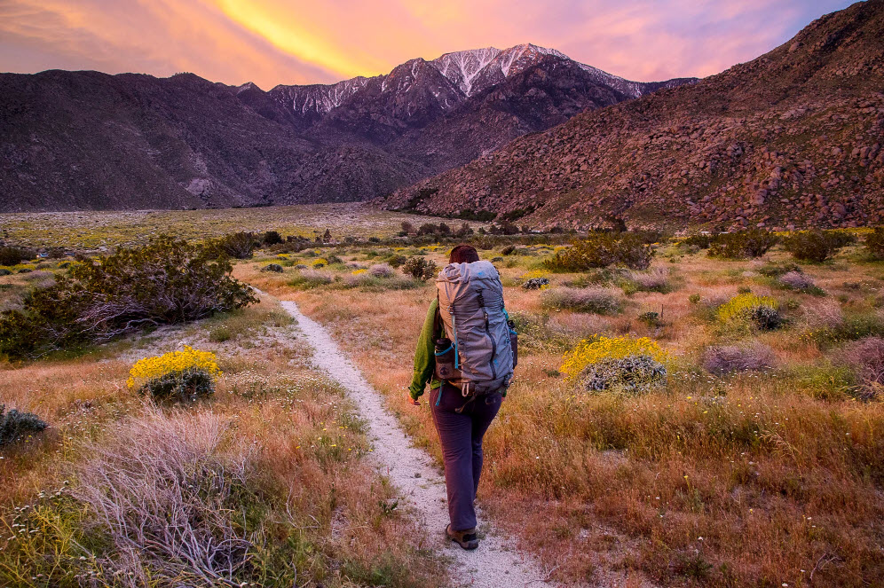 amazing us hiking trails in 2022
