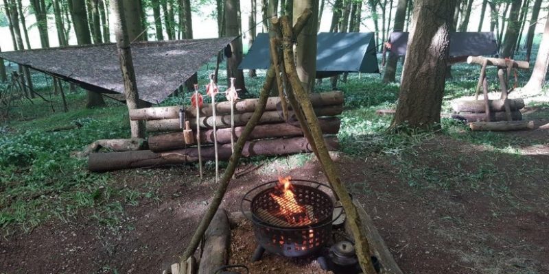 Bushcraft- The Basics, the Tools& the Skills You Need for Mastering It