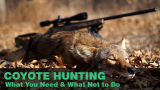 Coyote Hunting- What You Need & What Not to Do