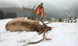 7 Practical Tips to Improve Your ELK Hunting Skills
