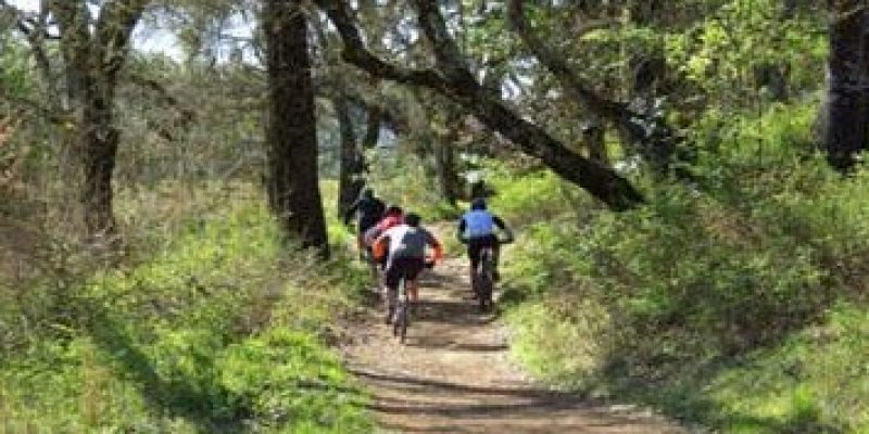 Hiking and Biking Trails: Tips for Beginners