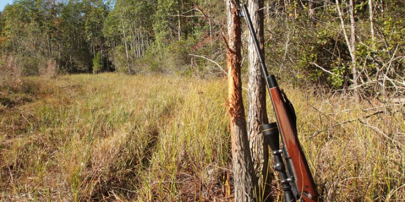 Hunting in Kentucky- The Essentials & Fundamental Tips to Know