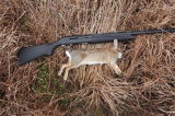 Rabbit Hunting- The Best Methods and Tips for Success