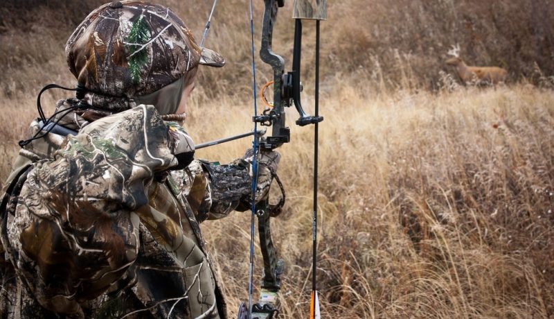 Where to Hunt this Summer – 7 States that Allow Summer Bow Hunting