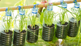 10 Ways To Do Vertical Gardening