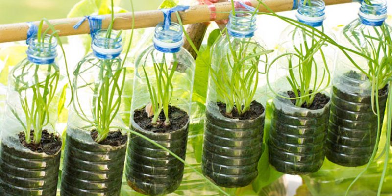 10 Ways To Do Vertical Gardening