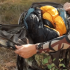 Deer hunting checklist – What to pack for deer hunting
