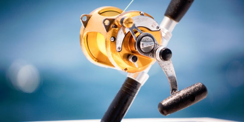 How Often Should You Oil Your Fishing Reel?