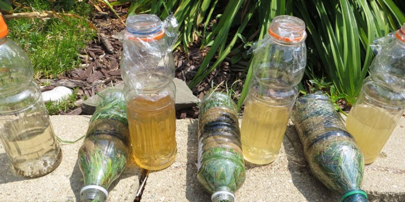 How to Make a Water Filter From Trash
